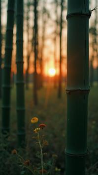 by Todd Hido and Gabriel Metsu, photograph, forest, hyper detailed