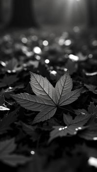 by Brett Weston , photograph, Dull Dramatic matryoshka doll Autumn leaf pile , Bathed in shadows