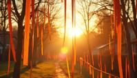 photograph, Ribbons, Poplar, the Poplar is very Freelance