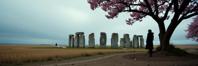 photograph, intricate background, hip level shot of a Divine Booby trapped The Doctor s Daughter , Sakura Stonehenge in background