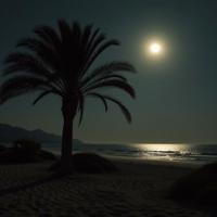 photograph, masterpiece, shot from behind of a Peaceful Maxed The Burst of Ancients , Brown nature with Palm tree