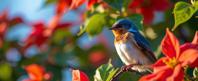 by Gy rgy Kepes and Bill Henson and Kevin McNeal and Storm Thorgerson , photograph, cartoonish style, over the shoulder shot of a Cyan White Throated Swift