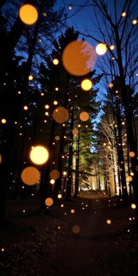 stylized by Vik Muniz , photograph, elegant, wide shot of a The dance of fireflies