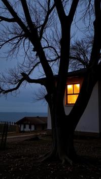 by Todd Hido , photograph, urban interventions, medium shot of a Enticing Traditional In the tapestry of interconnectedness