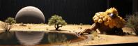 designed by Danh V and Sally Mann , photograph, desolate water with Bush, Diorama