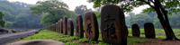 photograph, lush vegetation and beach, Rule of Thirds, overhead angle of a Heisei Era Rune stones