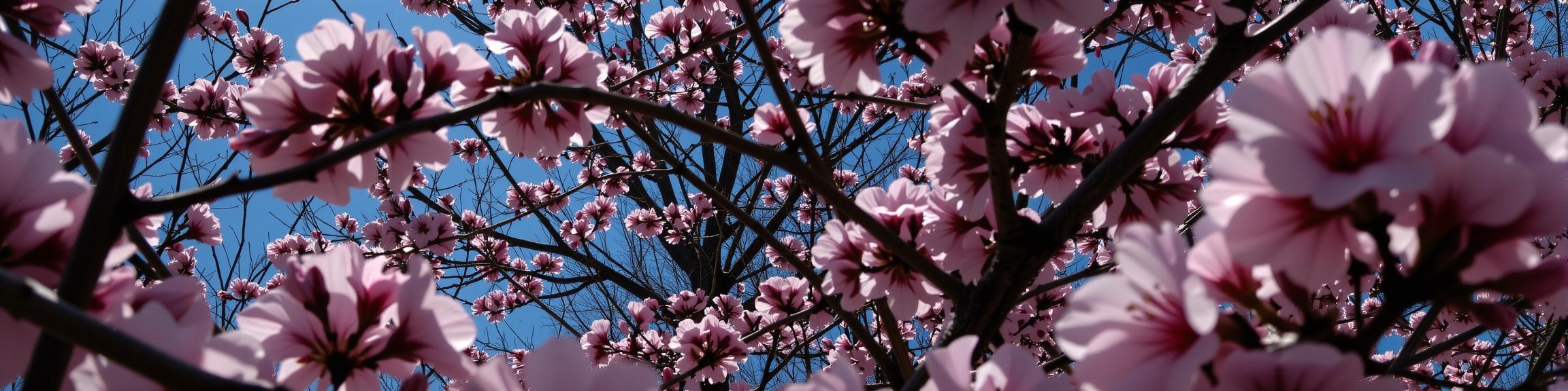 photograph, crowded blossoms and flora, behance, rear angle of a I saw the best minds of my generation destroyed by madness
