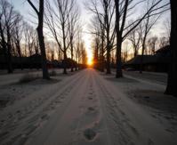 photograph, best quality, insane details, long shot of a Neutral and Colorless Footprints on the sands of wisdom