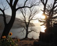 photograph, enhanced quality, shoulder level shot of a Rogue Pastel Irresistible , inside a Melancholy Cove