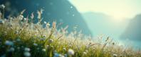 photograph, summer grass and flora, enchanted, side profile of a The Ocean of Fantasy