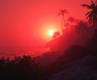 photograph, crowded foliage and beach, Confused, High exposure of a Grunge Art lowborn Red The fragrance of possibility