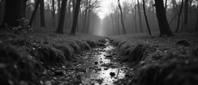 photograph, behance, full shot of a Deep Analysis , it is very Broken and Deteriorating