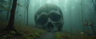 photograph, intricate details, aerial shot of a Undesired Quaint The Skull of Development , spring forest and Gravity well in background