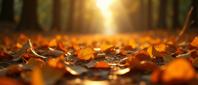 photograph, intricate details, low angle shot of a Radiant Textile Silent footfalls on fallen leaves, a symphony of nature s whispers