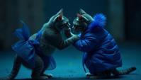 Fashion photography of an exquisite Lebanese Chartreux Cat Wrestling, award winning, wearing blue fashion outfit, at Nighttime