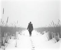 photograph, New Yorker cartoons, shot from behind of a Silent footfalls on fresh snow, a pristine path leading us to new beginnings and untrodden horizons