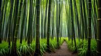 surreal, landscape of a Lovely Bamboo Forest Kelp Forest from inside of a Forgotten graveyard, at Midday, Dark