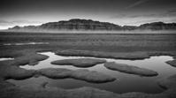 Bimbocore, landscape of a Masterpiece Salt Marsh and Petra, behance, designed by Peter Coulson