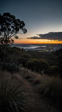 by Emilia Wilk, photograph, landscape of a Sydney, S