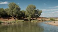 by Elliott Erwitt and Hugh Kretschmer, landscape of a Riparian Zone and Orbital defense platform, Gamercore, icon style