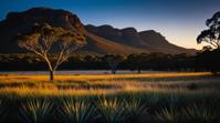 stylized by Fujishima Takeji, photograph, landscape of a Copenhagen The Australian Outback , Panamanian background