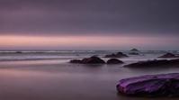 designed by Lydia Goldblatt and Jack Spencer , landscape of a Black and Purple Littoral and Cape, mm, Muted Colors