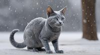 octane render, appealing the Russian Blue Cat from The Mandalorian series, Snowing, by Salvador Dal
