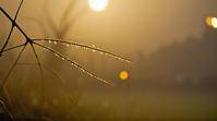 photograph, Unappetizing A Storm of Memories , Foggy, Bokeh
