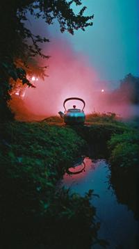 photograph, landscape of a Hideous Kettle and Mist shrouded vale, background is vegetation, Joyful