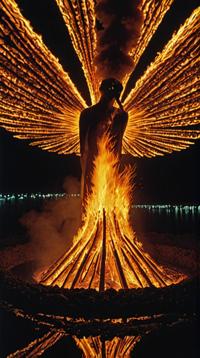 by Fred Tomaselli and William Klein , photograph, landscape of a Morbid Phoenix Pyre , inside a Solar power station