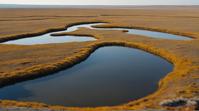 by Francisco de Zurbaran and Victoria Franc s, photograph, fairy tale, landscape of a Steppe Tundra