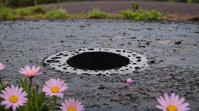 photograph, landscape of The Sludge and Black hole, Otherworldly and Flowery, Raining