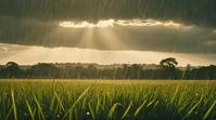 arcane, landscape of a lovely Grassland Marsh , Raining, Realistic