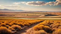 stylized by Brent Heighton , photograph, landscape of a Steppe Alvar , elegant
