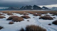 designed by Mary Ellen Mark, landscape of a Frozen Desert Tundra , atmospheric perspective, cool colors