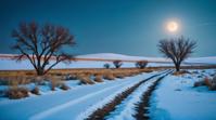 art by Simon Prades , photograph, garden, landscape of a Deteriorating Steppe