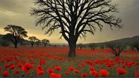 stylized by Mary Ellen Mark, landscape of a noir Dry Forest and Gypsy Poppy field, Pop Art, Warm lighting