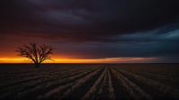 landscape of a Alvar Plain, at Twilight, Frightening, Ambient lighting