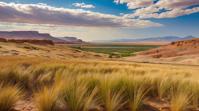 photograph, landscape of a Steppe Tundra Rocky Shoreline , Alhambresque, from inside a Petra