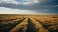 photograph, landscape of a Steppe Tundra, Fast Shutter Speed, Ilford HP