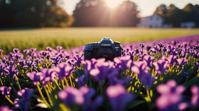 photograph, POV shot of a Violet, Canon RF, Depth of field mm