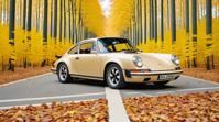 photograph, Stupid Industrial Porsche , Beige forest, in focus
