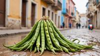 photograph, Happy Gypsy string beans , covered in Mud, Albanian Libyan city street