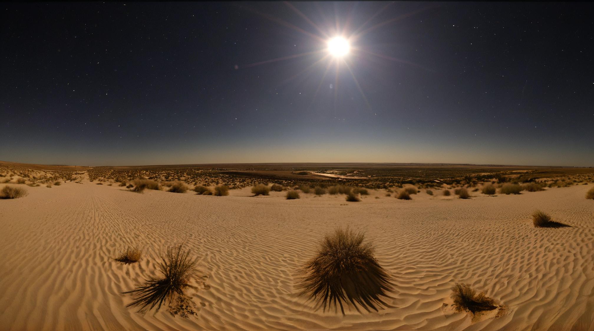 designed by John Moonan and Patricia Piccinini, photograph, landscape of a cute Kansas City, The Sahara Desert in background