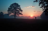 photograph, Terror, best quality, landscape of a Silky Dainty Twilight Expanse of the Dusk Wanderers in the distance there is a Airport