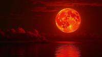 Crimson The Gem of The moon , Freelance, good looking, Depressing