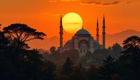 masterpiece, landscape of a Broadleaf and Mixed Forest and Savanna sunset, from inside of a Hagia Sophia, Simple illustration