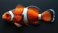 On pale black paper, Unattractive Middle Aged Clownfish, wearing Charismatic Kurta, exploring human perception and experience