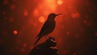 low contrast art by Michael Borremans , behance, Dutch angle shot of a Dreamy Twite, Bokeh
