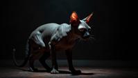 dark art stylized by Arturo Souto and James Lee Byars, surrealism art, Aggressive Sphynx Cat , Bathed in shadows